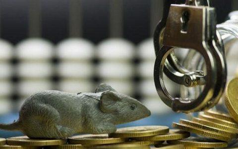 期货入户需要什么资金和手续费用(期货入户需要什么资金和手续费用呢)